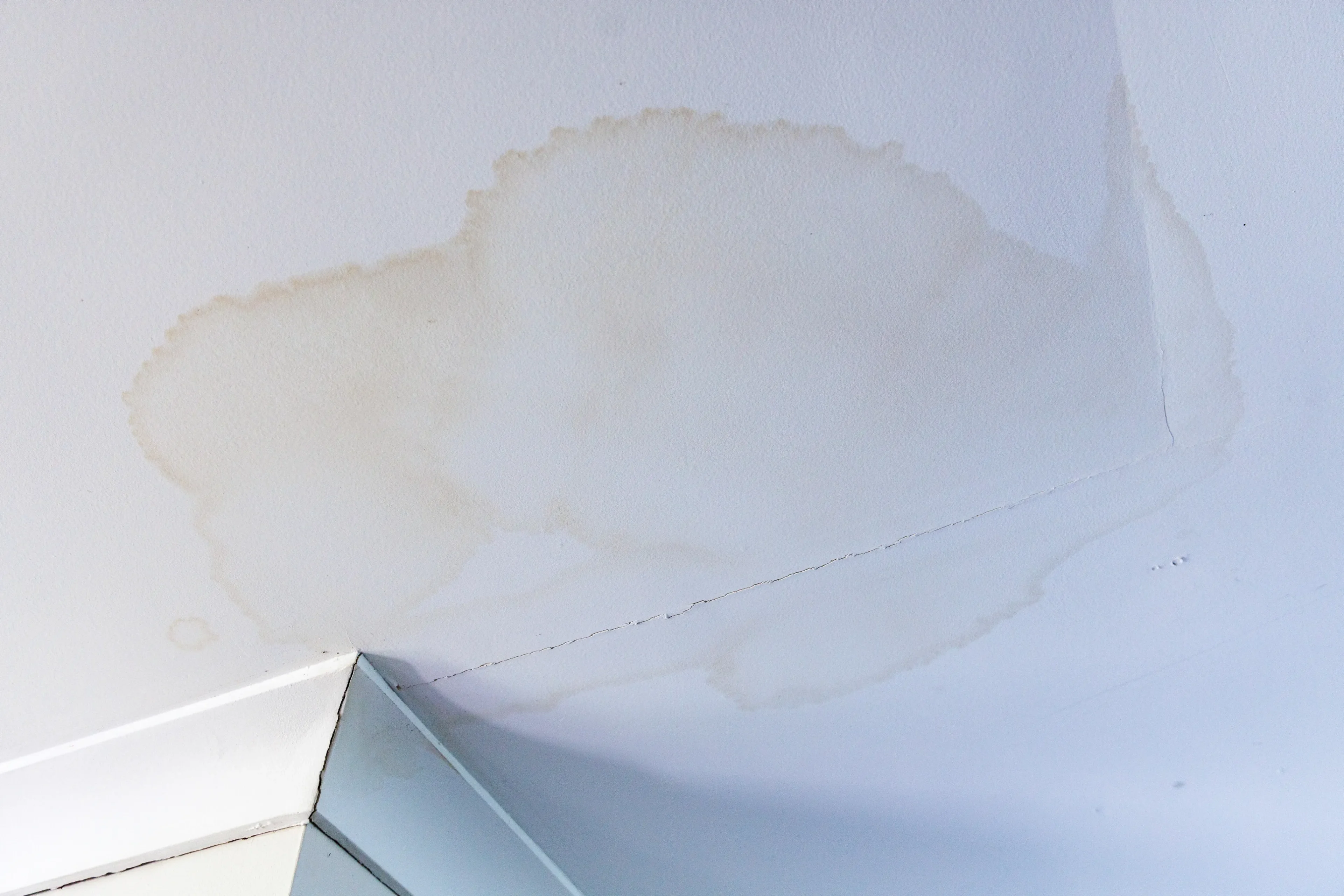 water damaged ceiling subject for leak detection
