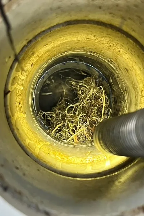 Drain camera view of tree roots blocking a sewer pipe