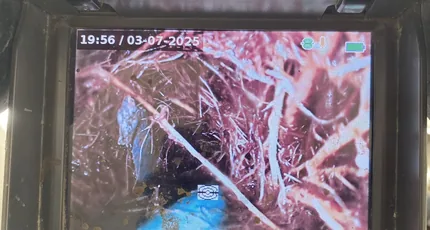 Drain camera screen showing tree roots inside a pipe in Rochedale