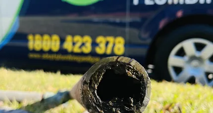 Pipe section choked with tree roots, held up in front of the Adept Plumbing & Gas van in Rochedale