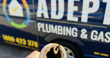 Pipe section choked with tree roots, held up in front of the Adept Plumbing & Gas van in Tarragindi