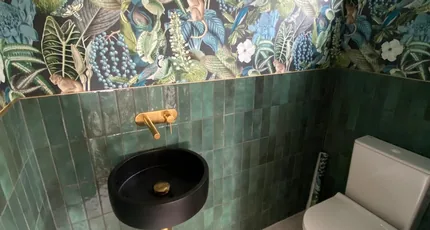 Powder room basin and toilet plumbed in Greenslopes