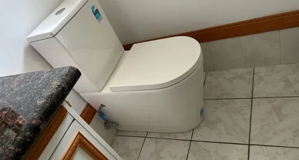 Back-to-wall toilet installed in a Kingston bathroom