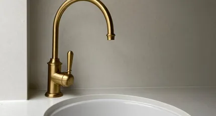 Brass gooseneck mixer over an undermount sink in Shailer Park