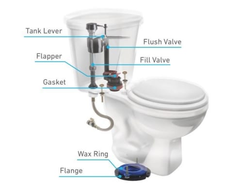 Toilet bowl anatomy