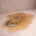 Backed-up sewer causing shower drain to overflow onto the floor